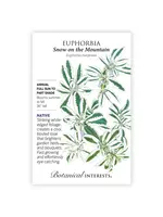 Botanical Interests Euphorbia Snow on the Mountain
