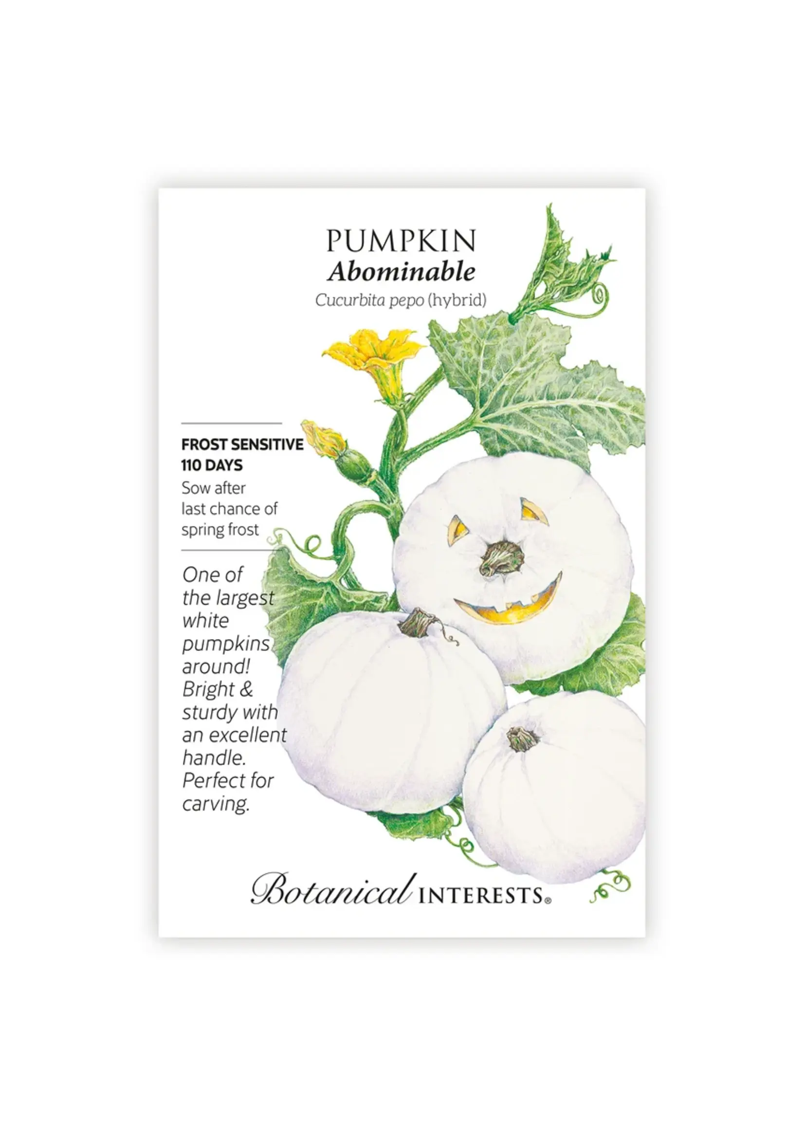 Botanical Interests Pumpkin Abominable hybrid