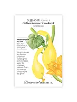 Botanical Interests Squash Summer Golden Summer Crookneck