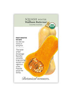 Botanical Interests Squash Winter Waltham Bttrnt Organic