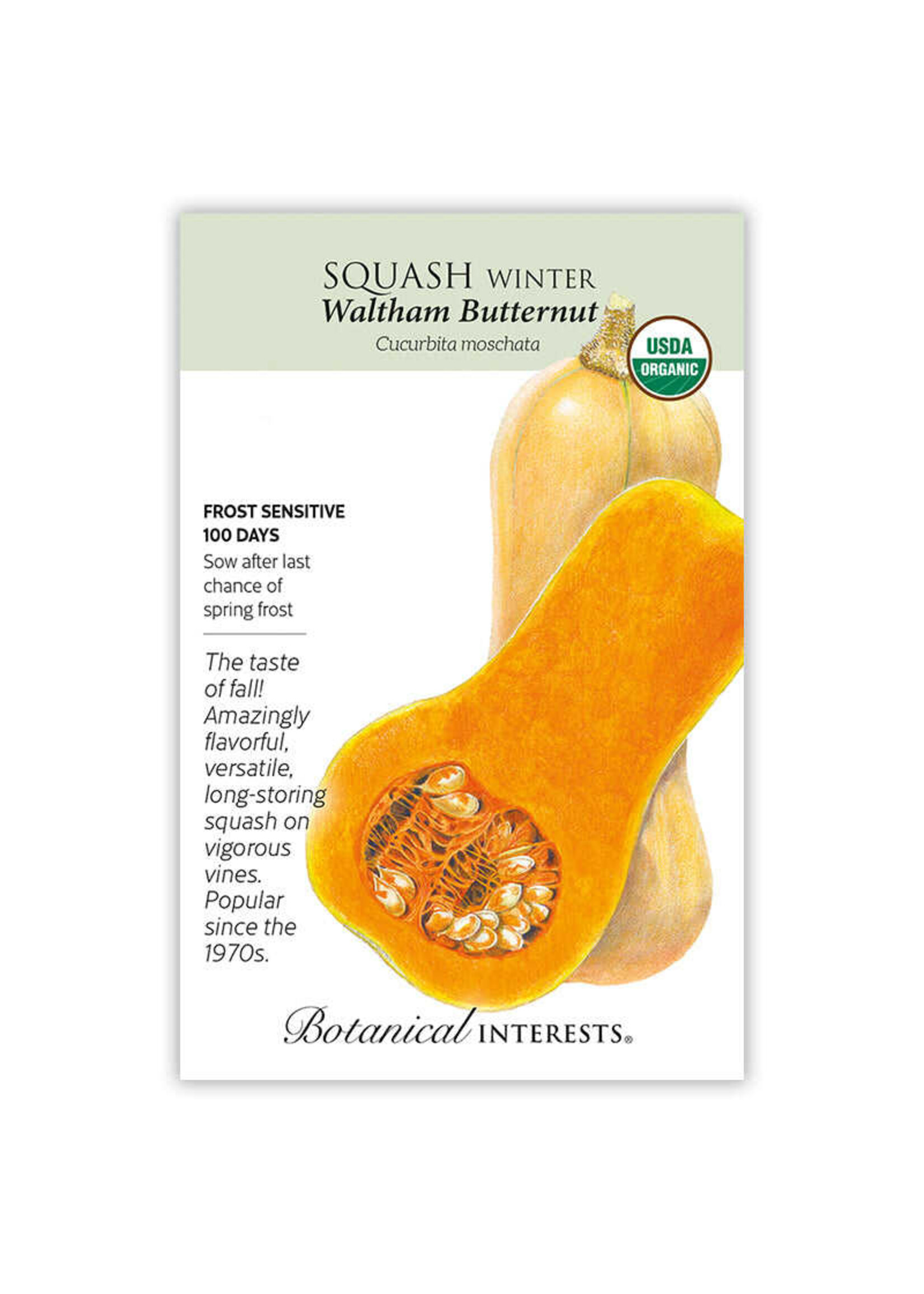 Botanical Interests Squash Winter Waltham Bttrnt Organic
