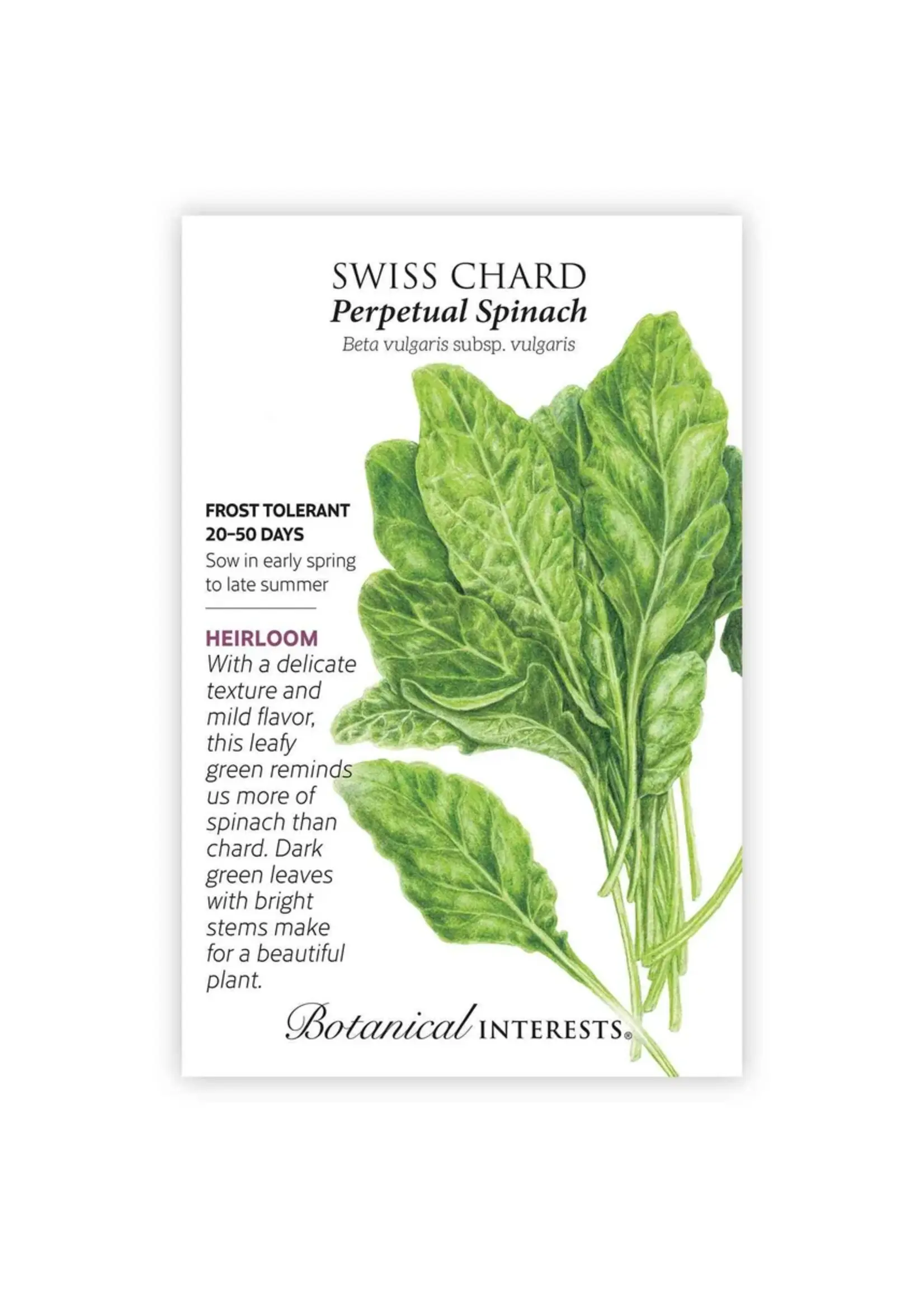 Botanical Interests Swiss Chard Perpetual Spinach