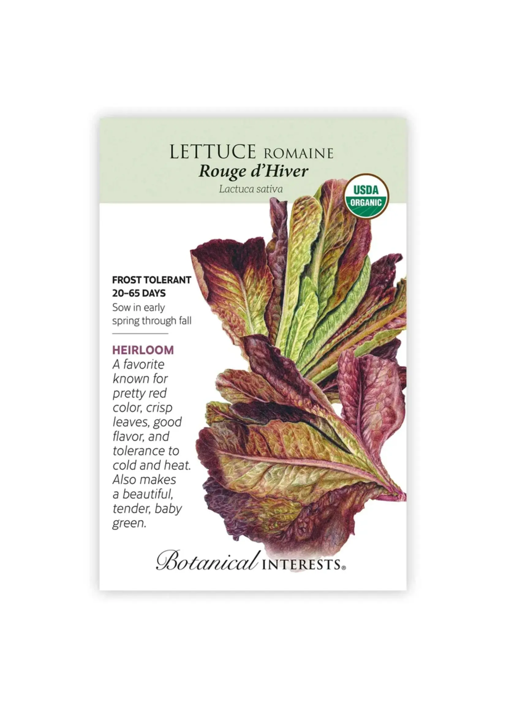 Botanical Interests Lettuce Romaine Rouge d'Hiver Organic