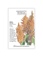 Botanical Interests Amaranth Hot Biscuits