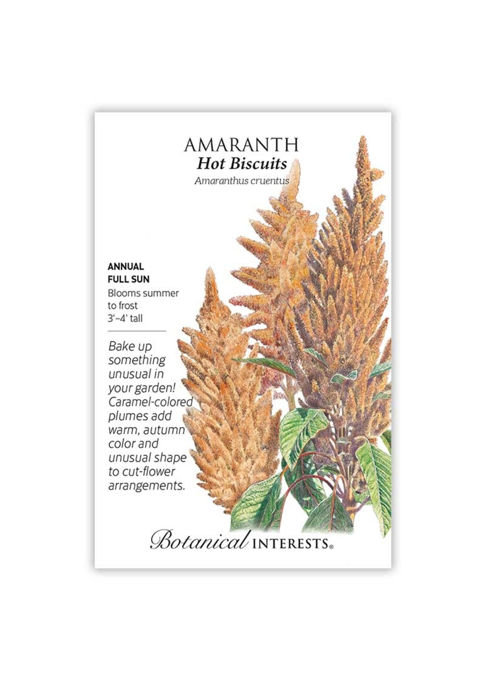 Botanical Interests Amaranth Hot Biscuits
