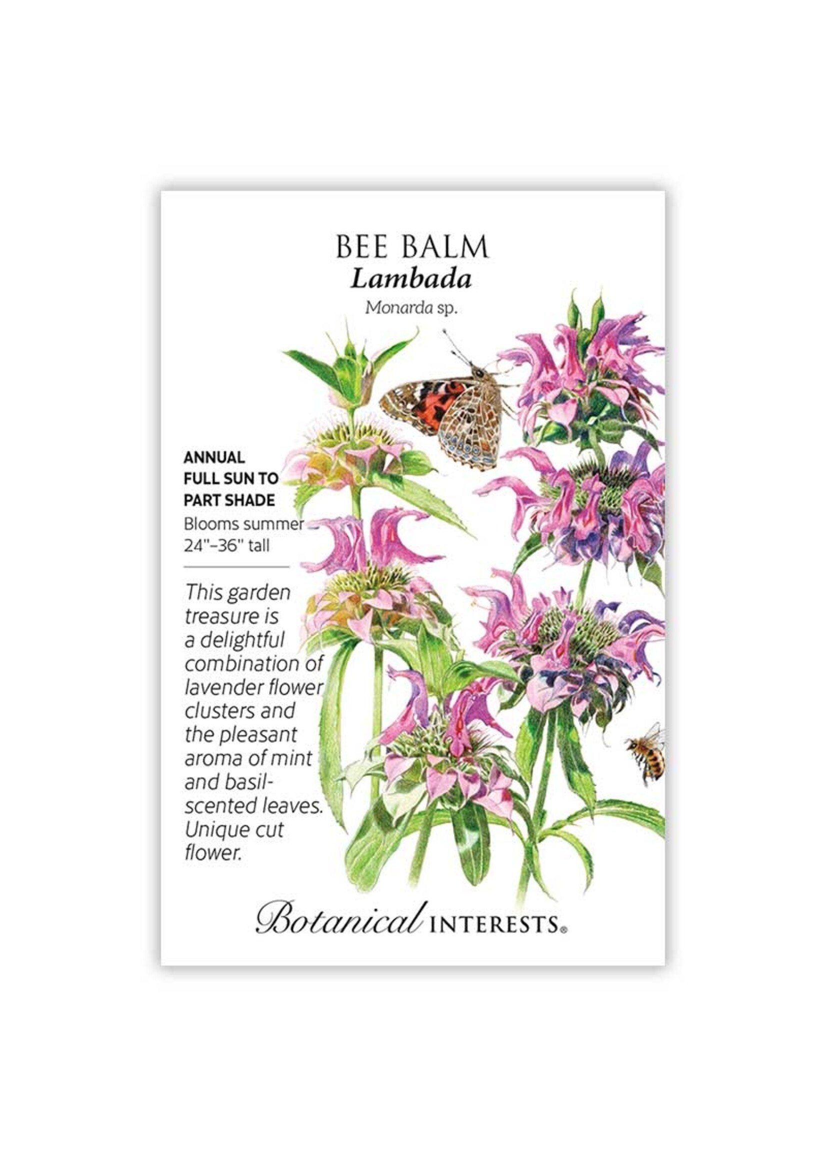 Botanical Interests Bee Balm Lambada