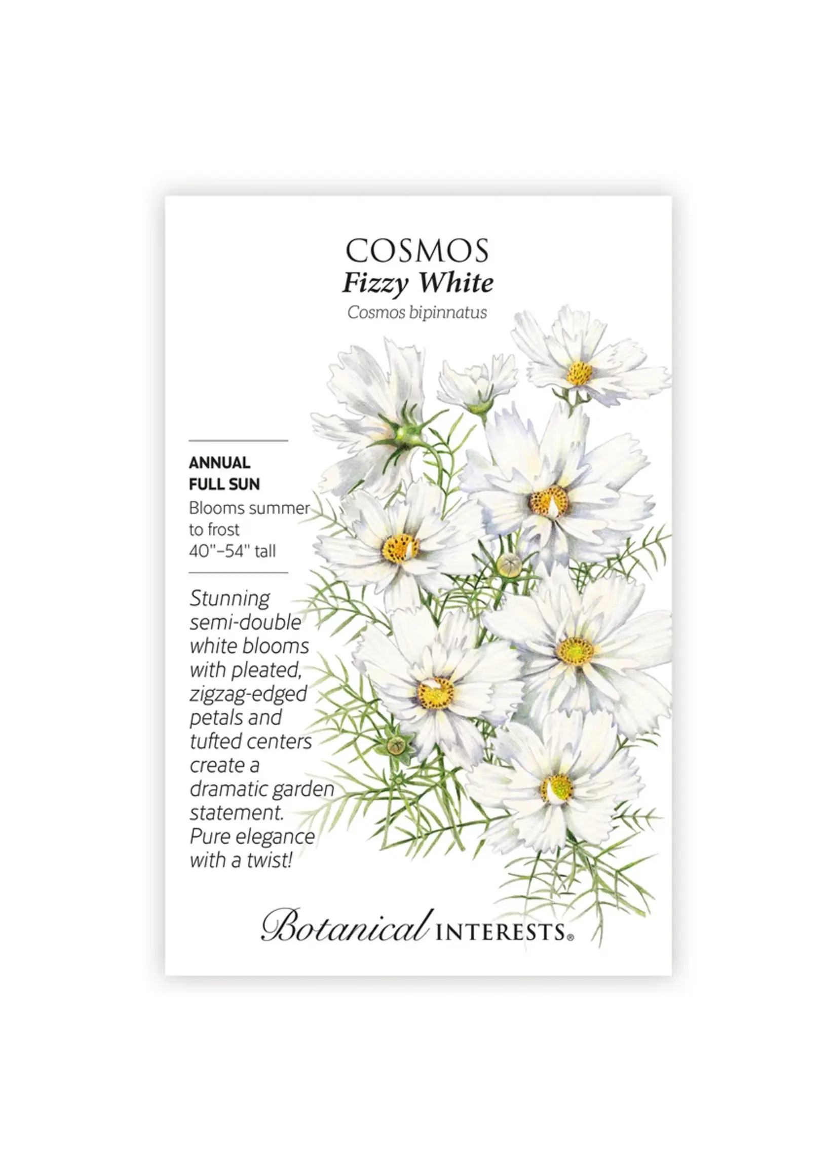 Botanical Interests Cosmos Fizzy White