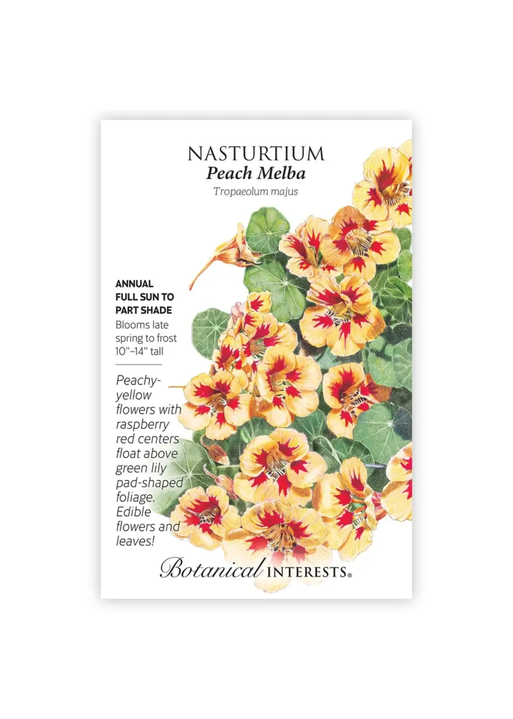 Botanical Interests Nasturtium Peach Melba
