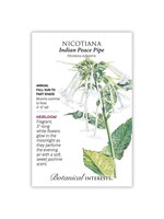 Botanical Interests Nicotiana Indian Peace Pipe