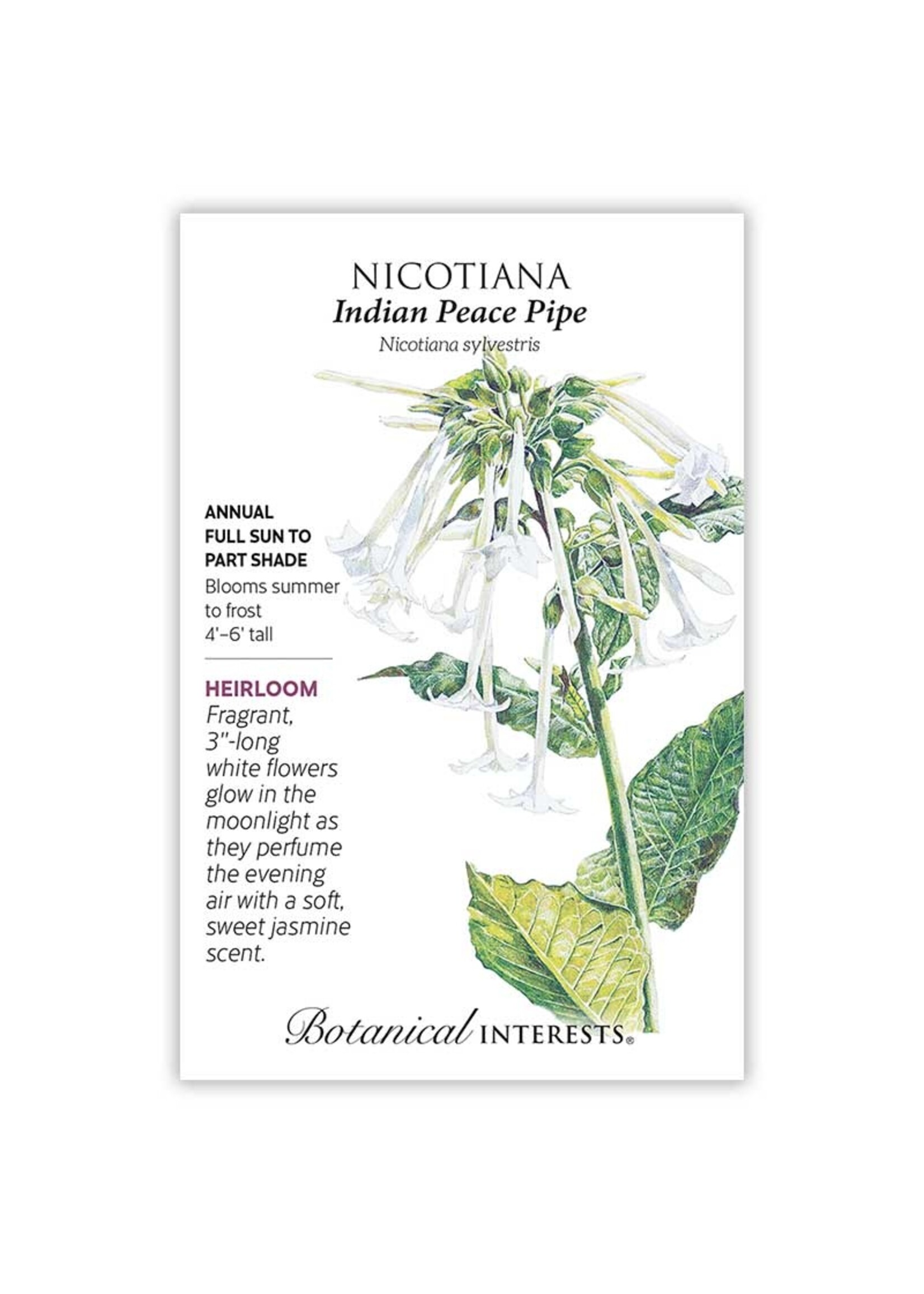 Botanical Interests Nicotiana Indian Peace Pipe