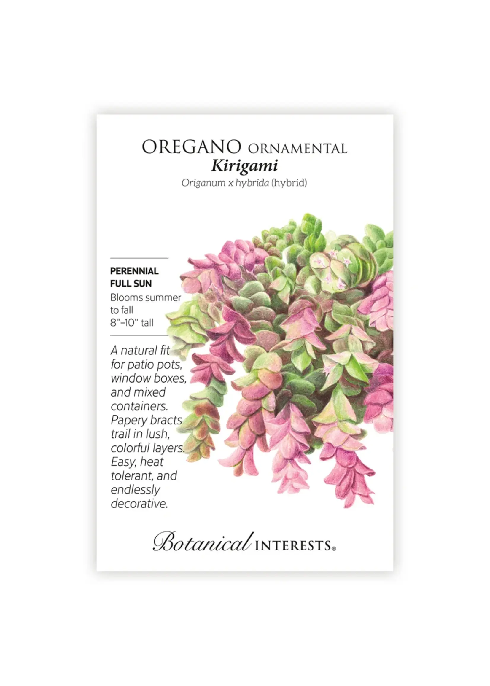 Botanical Interests Ornamental Oregano Kirigami