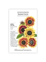 Botanical Interests Sunflower Summer Lovin F1