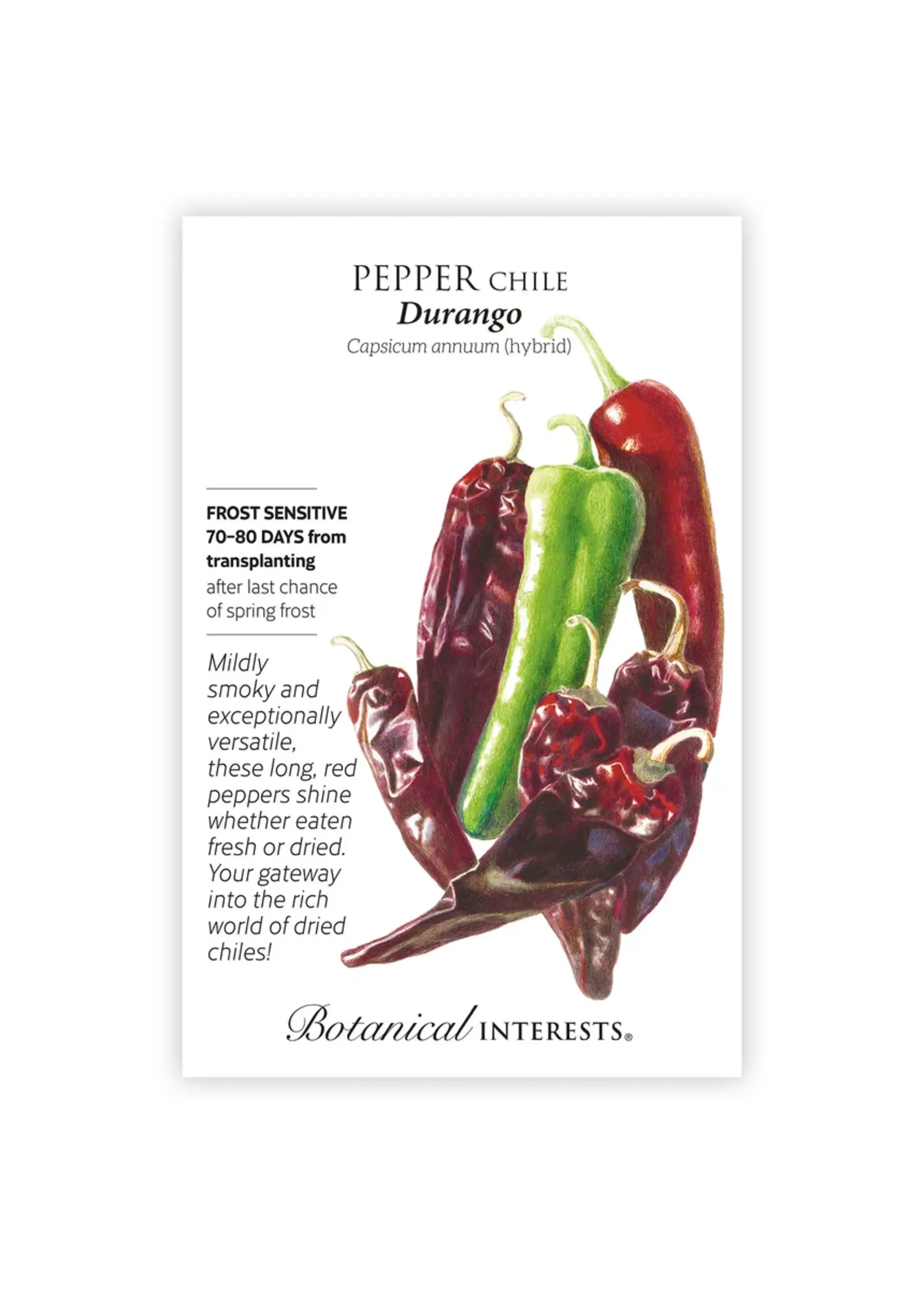 Botanical Interests Pepper Chile Mirasol/Guajillo Durango hybrid