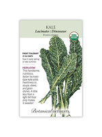 Botanical Interests Kale Lacinato | Dinosaur Organic