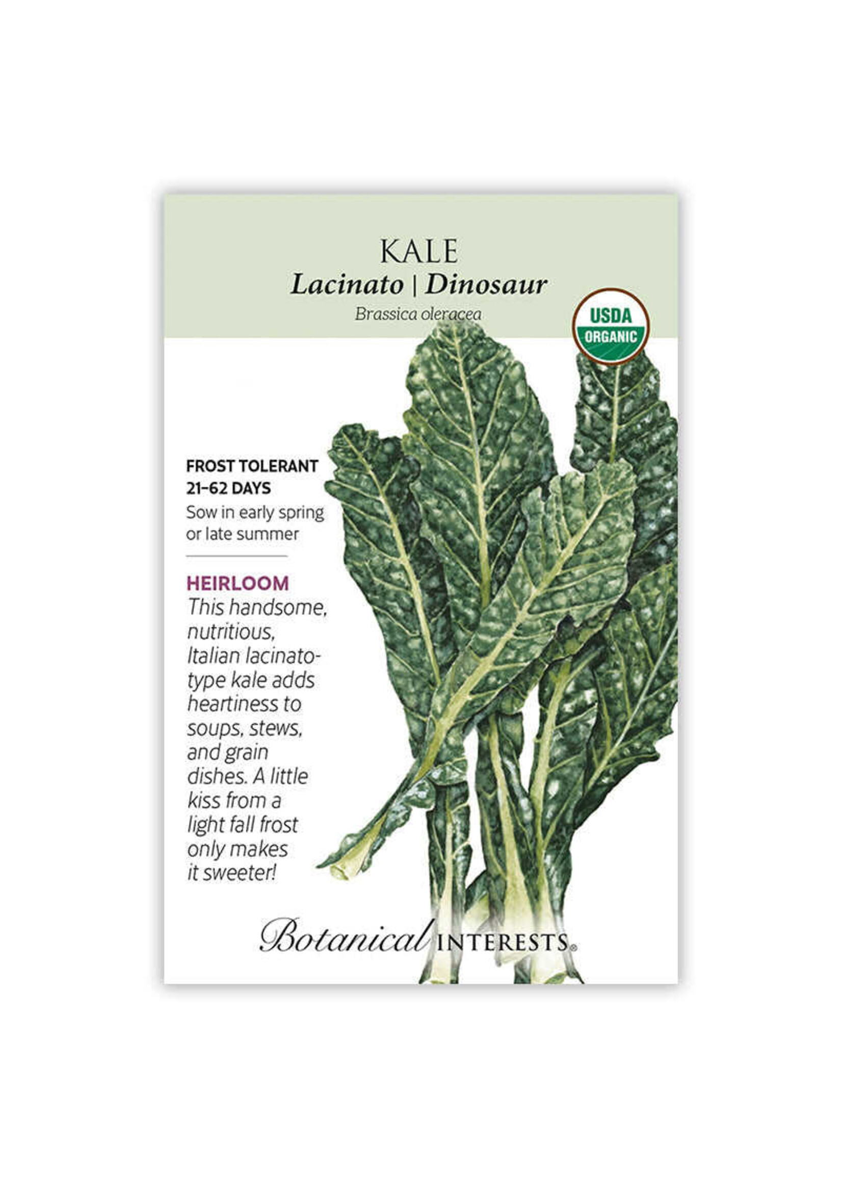 Botanical Interests Kale Lacinato | Dinosaur Organic