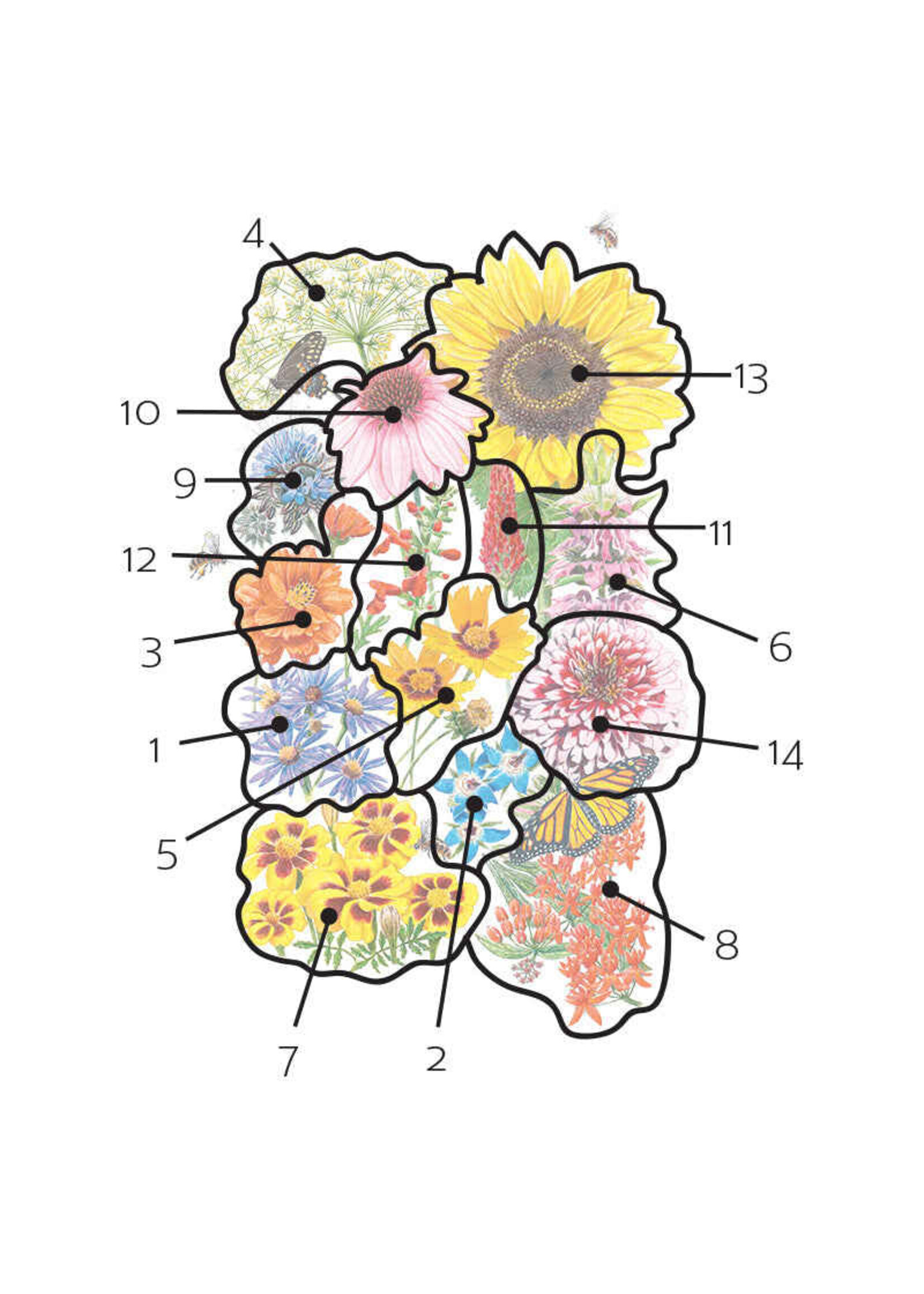 Botanical Interests Flower Mix Precious Pollinators