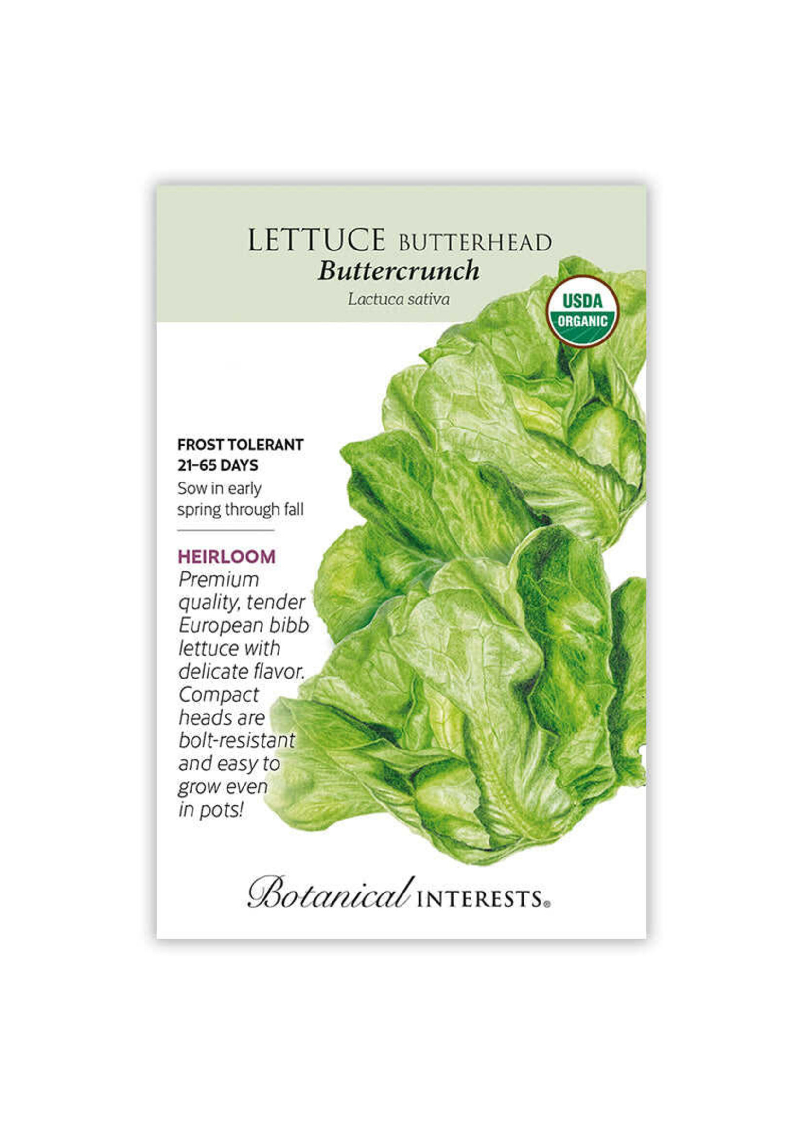 Botanical Interests Lettuce Butterhead Buttrcrnch Organic