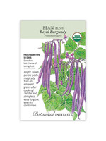 Botanical Interests Bean Bush (purple) Royal Burgundy Organic