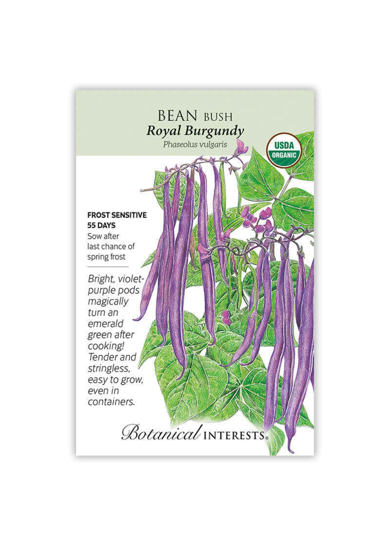 Botanical Interests Bean Bush (purple) Royal Burgundy Organic