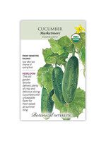 Botanical Interests Cucumber Marketmore Organic
