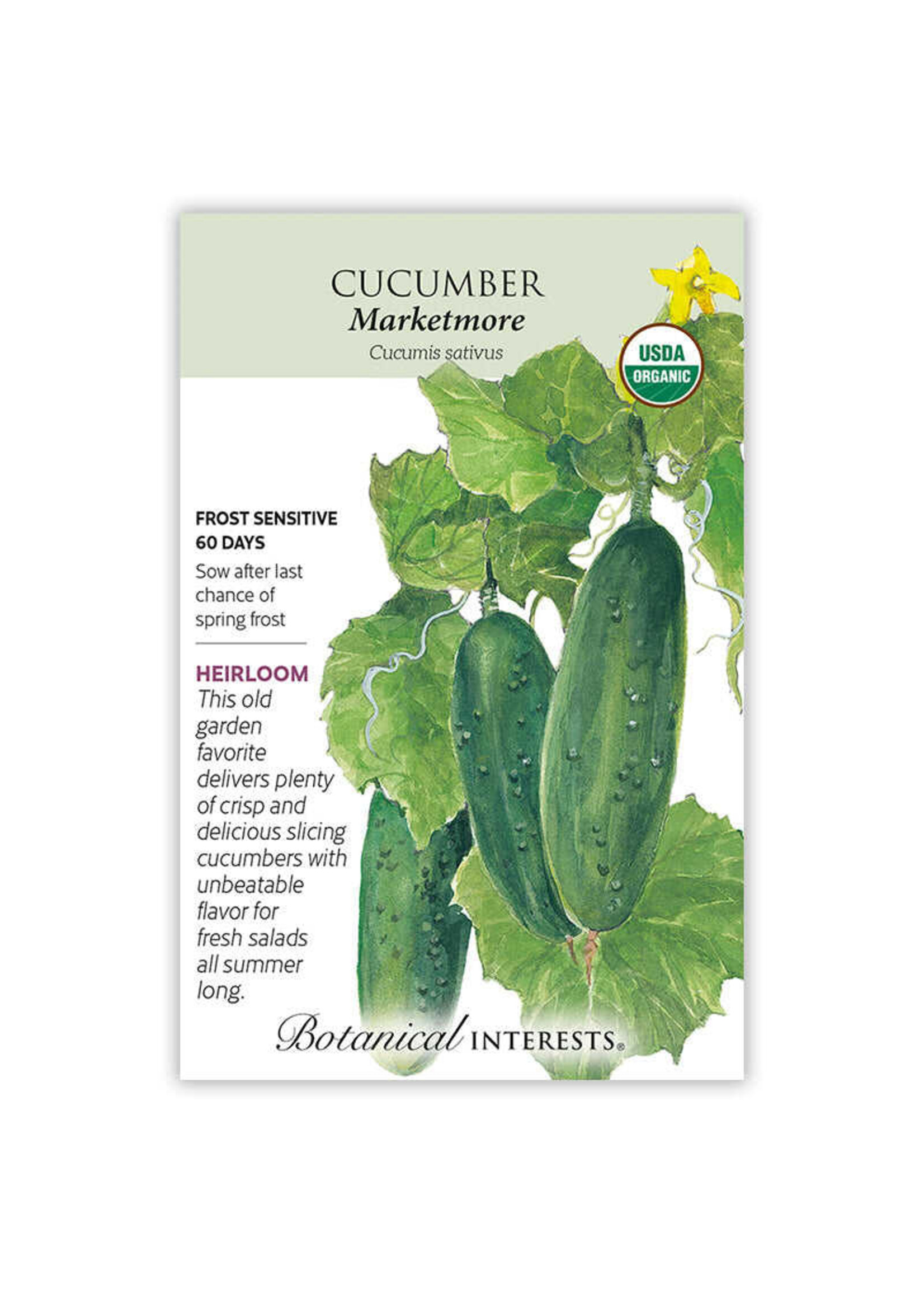 Botanical Interests Cucumber Marketmore Organic