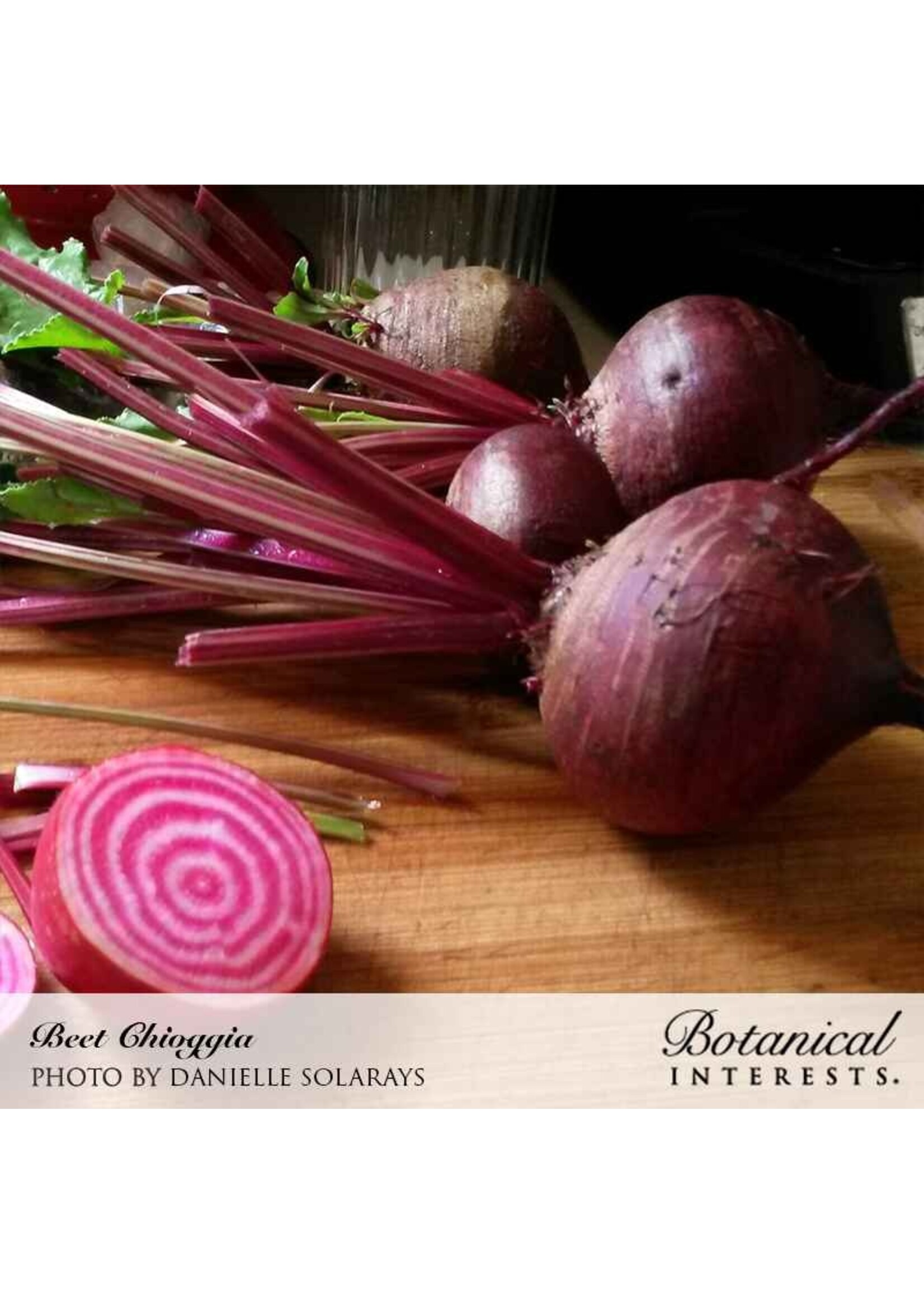 Botanical Interests Beet (striped) Chioggia Organic