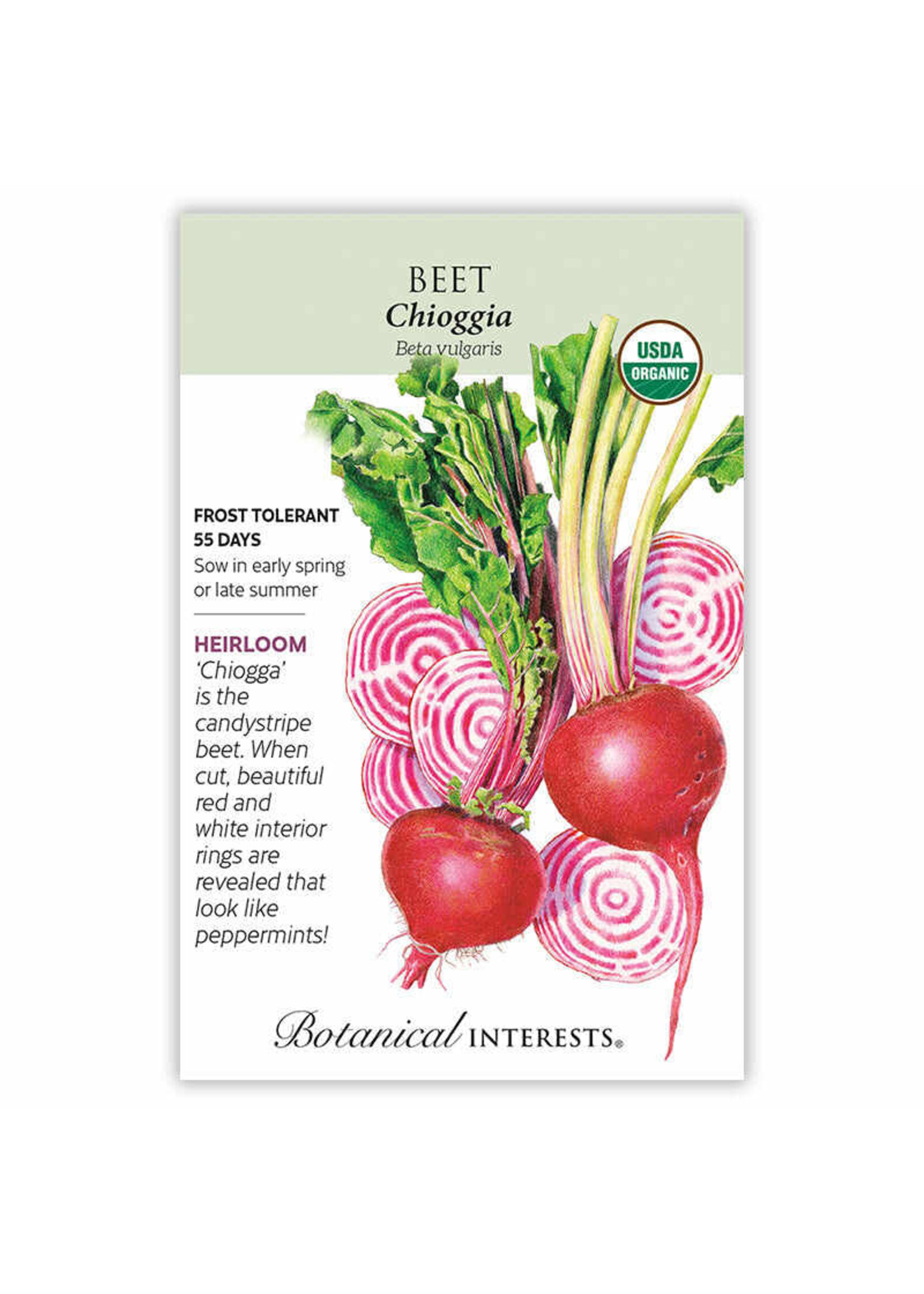 Botanical Interests Beet (striped) Chioggia Organic