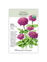 Botanical Interests Zinnia Giant Purple Organic