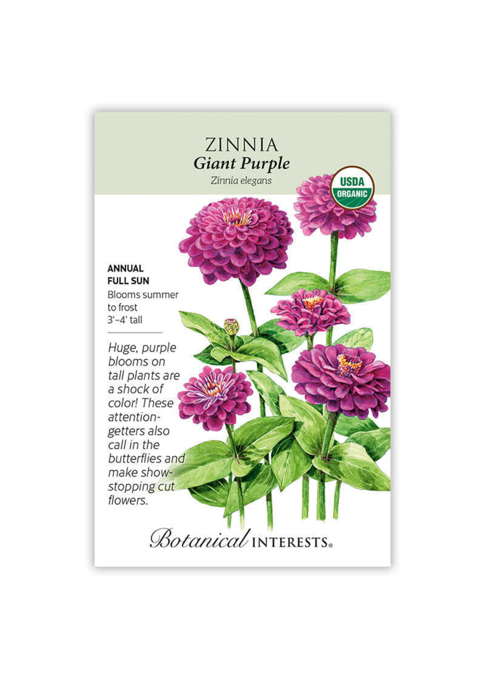 Botanical Interests Zinnia Giant Purple Organic
