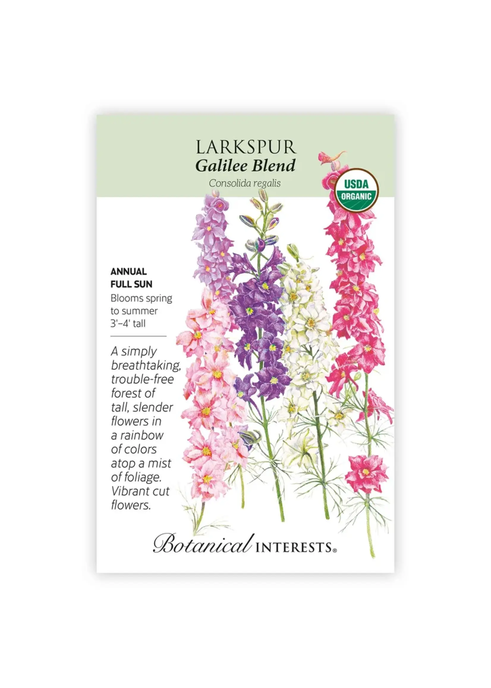 Botanical Interests Larkspur Galilee Organic