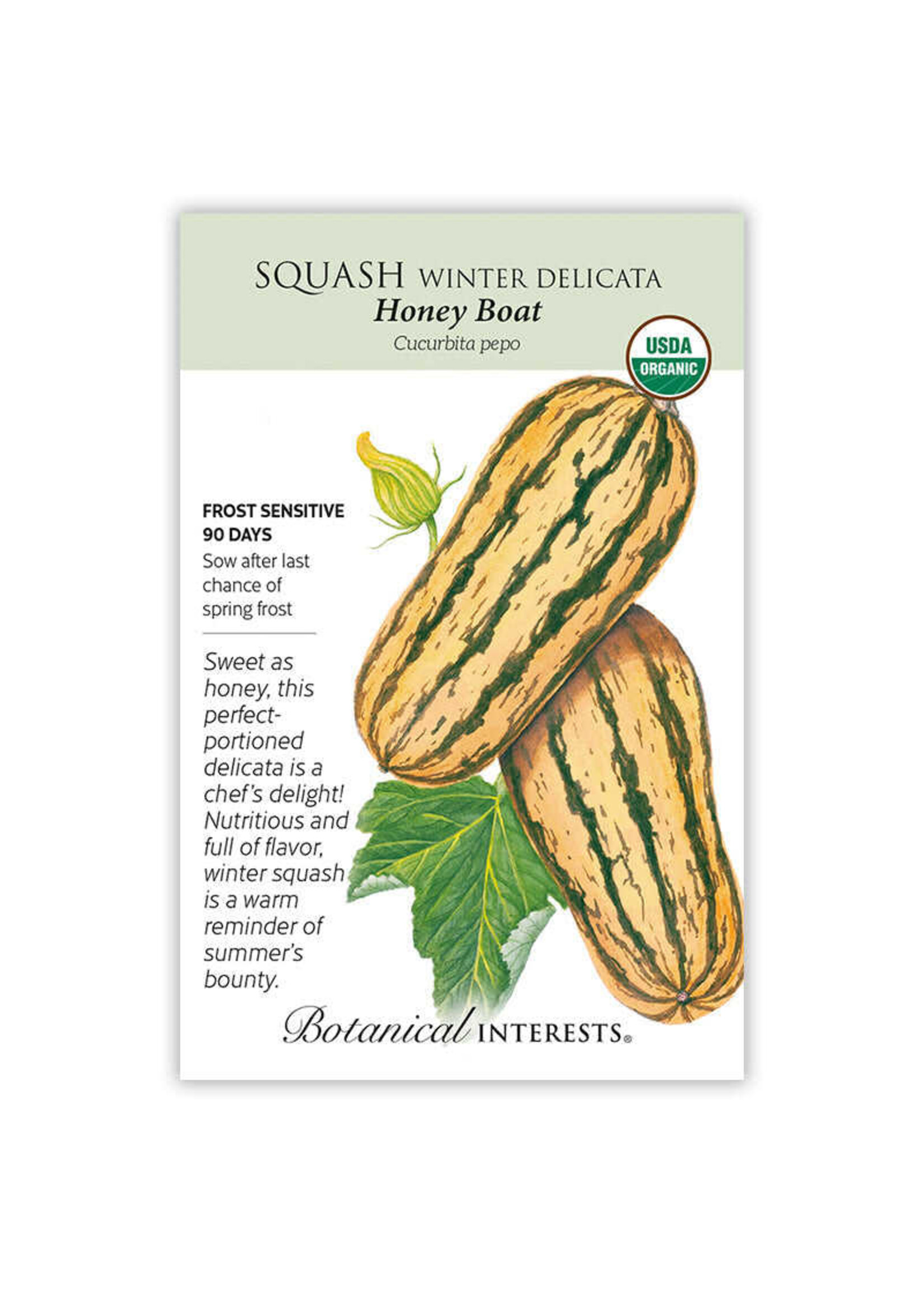 Botanical Interests Squash Winter Delicata Organic