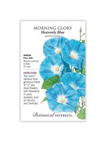 Botanical Interests Morning Glory Heavenly Blue