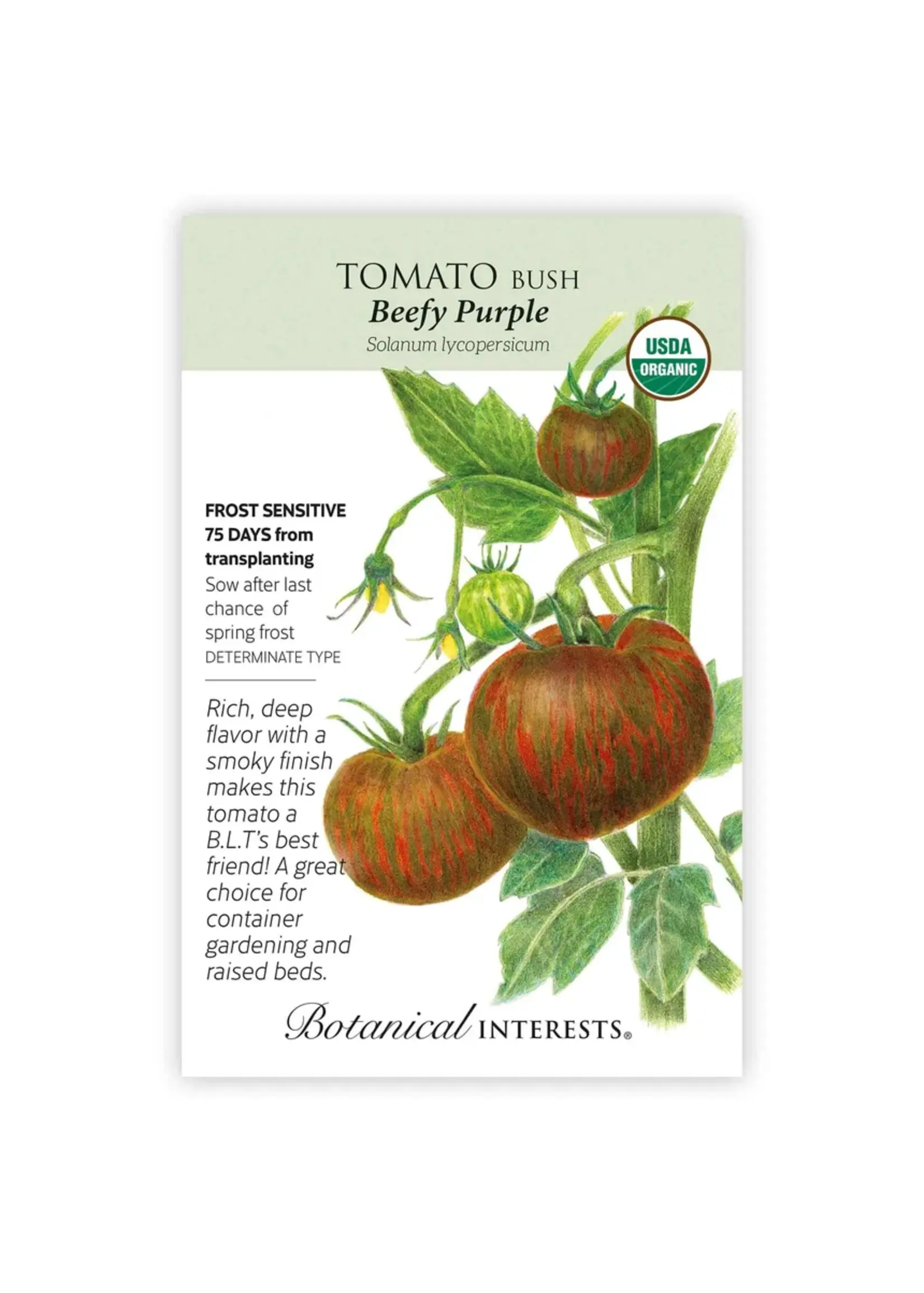 Botanical Interests Tomato Bush Beefy Purple Organic