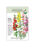 Botanical Interests Snapdragon Tall Maximum Organic