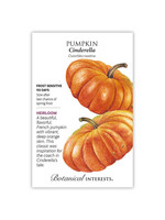 Botanical Interests Pumpkin French Cinderella