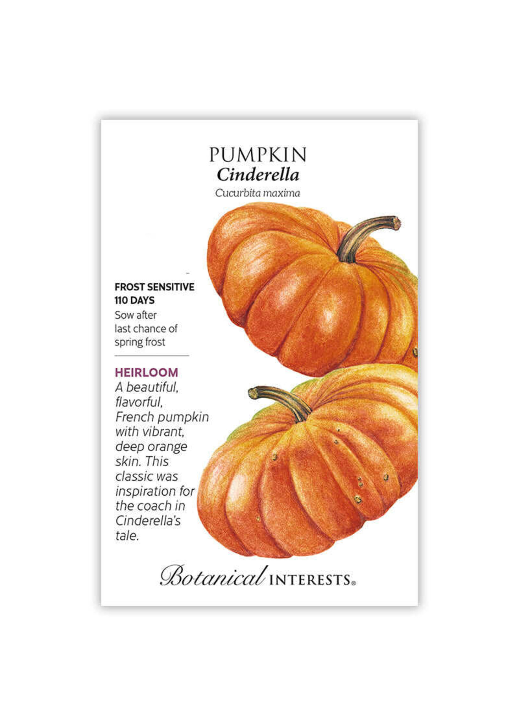 Botanical Interests Pumpkin French Cinderella
