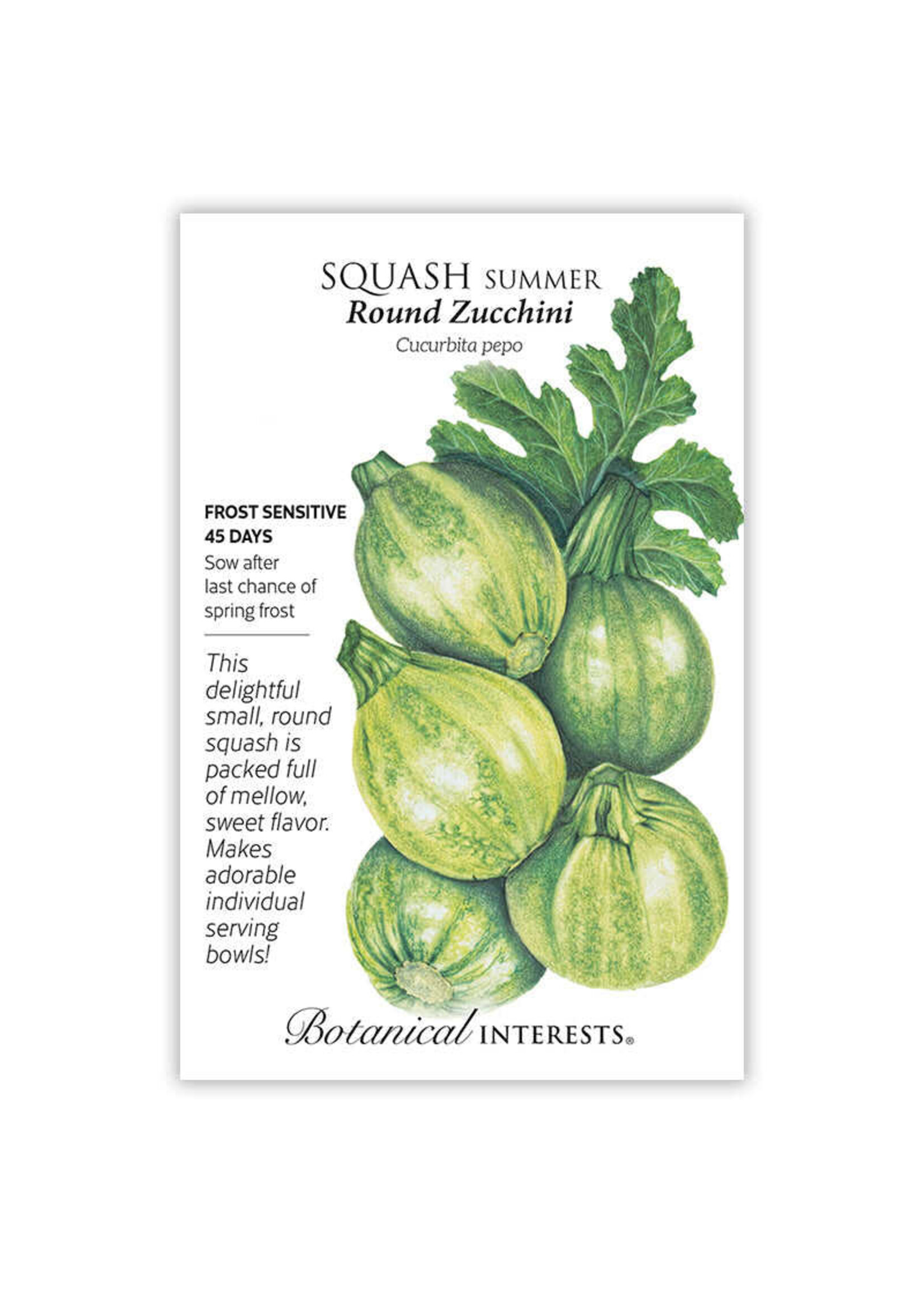 Botanical Interests Squash Summer Round Zucchini