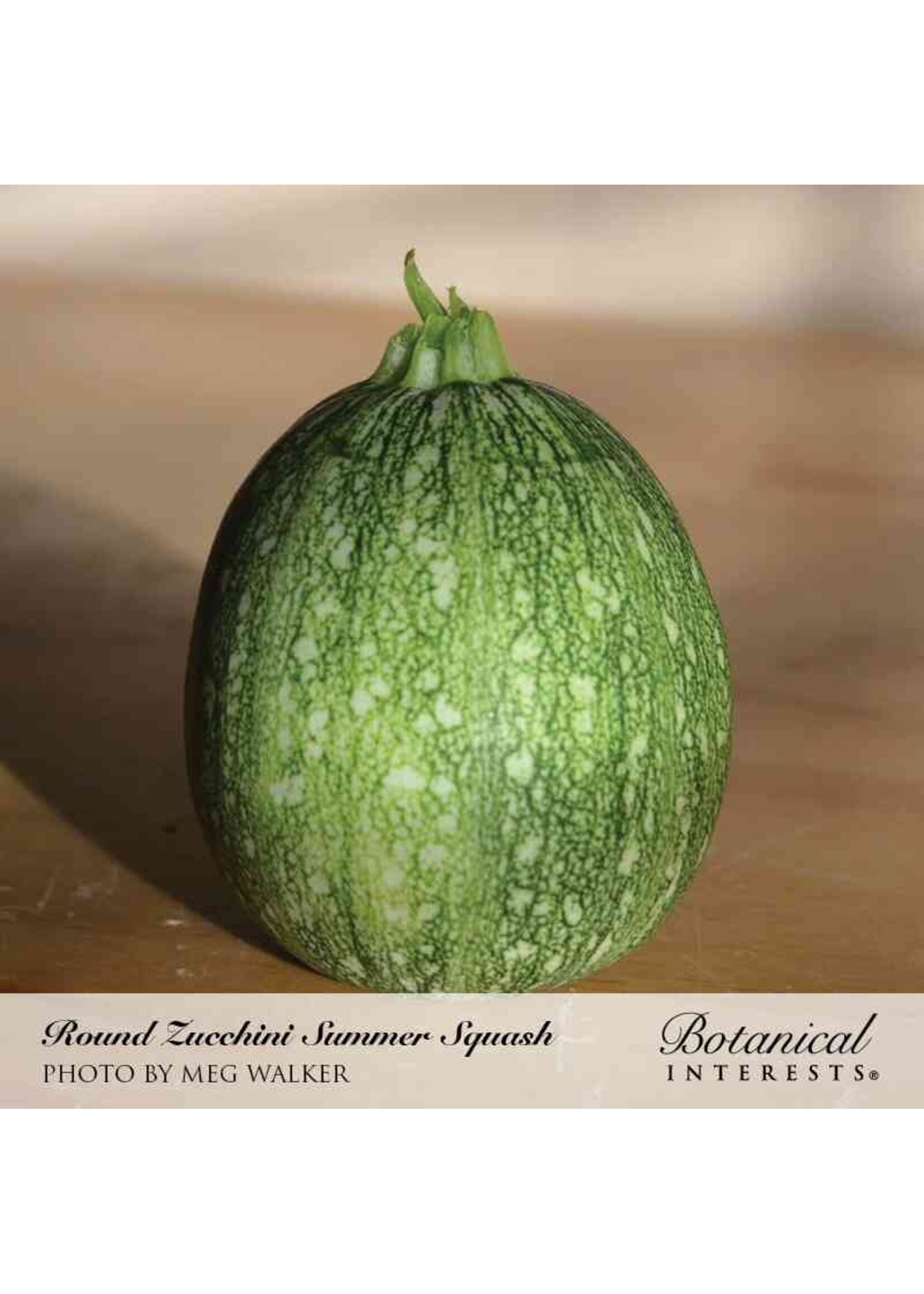 Botanical Interests Squash Summer Round Zucchini
