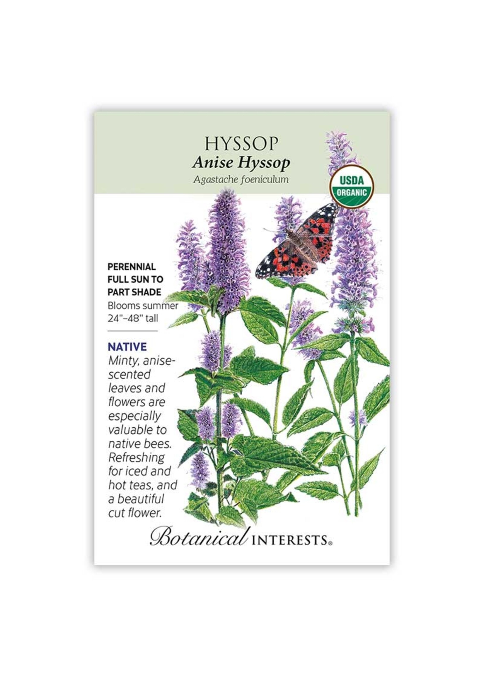 Botanical Interests Hyssop Anise Organic