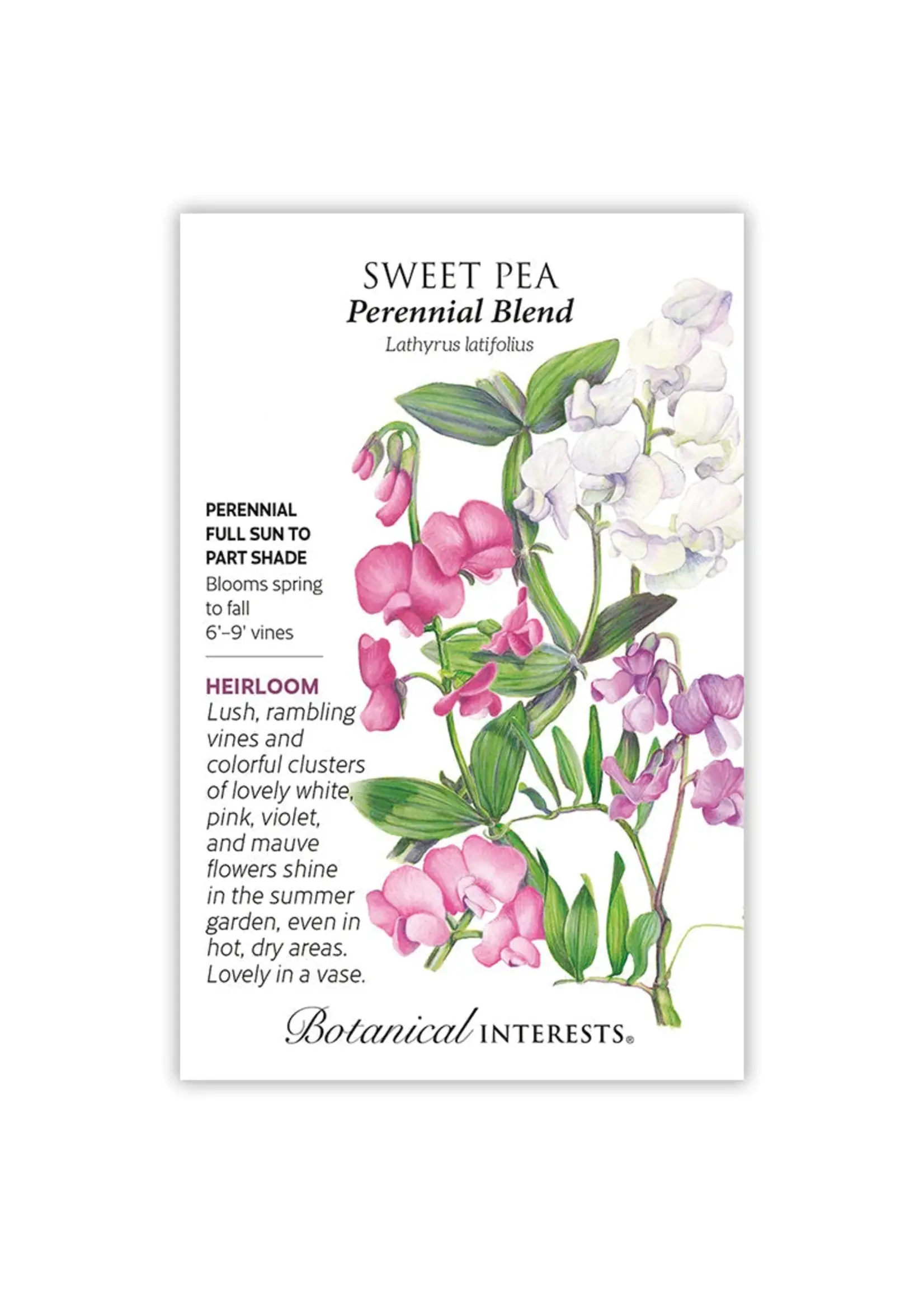 Botanical Interests Sweet Pea Perennial Blend