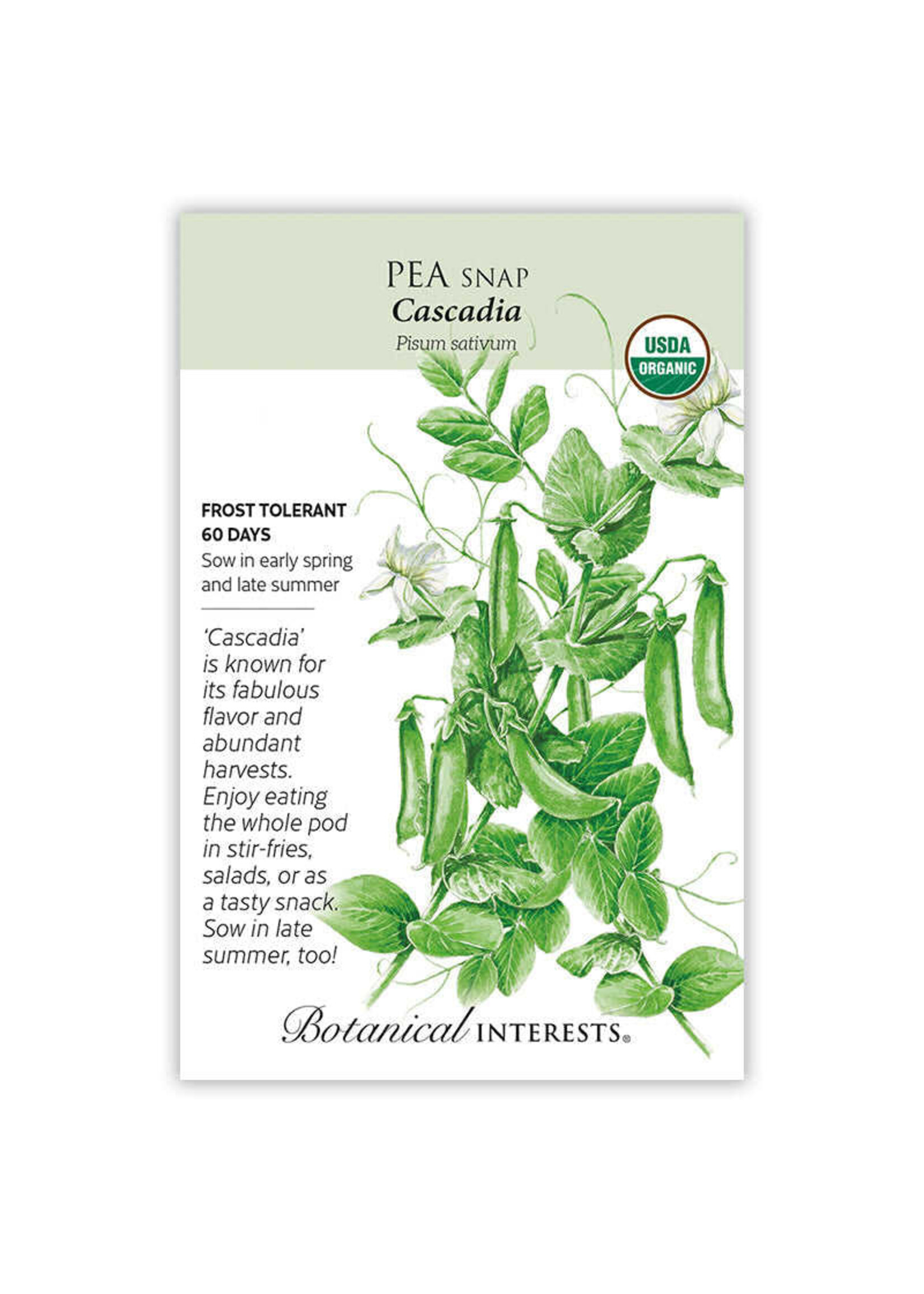 Botanical Interests Pea Snap Cascadia Organic