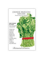 Botanical Interests Broccoli Chinese Kailaan