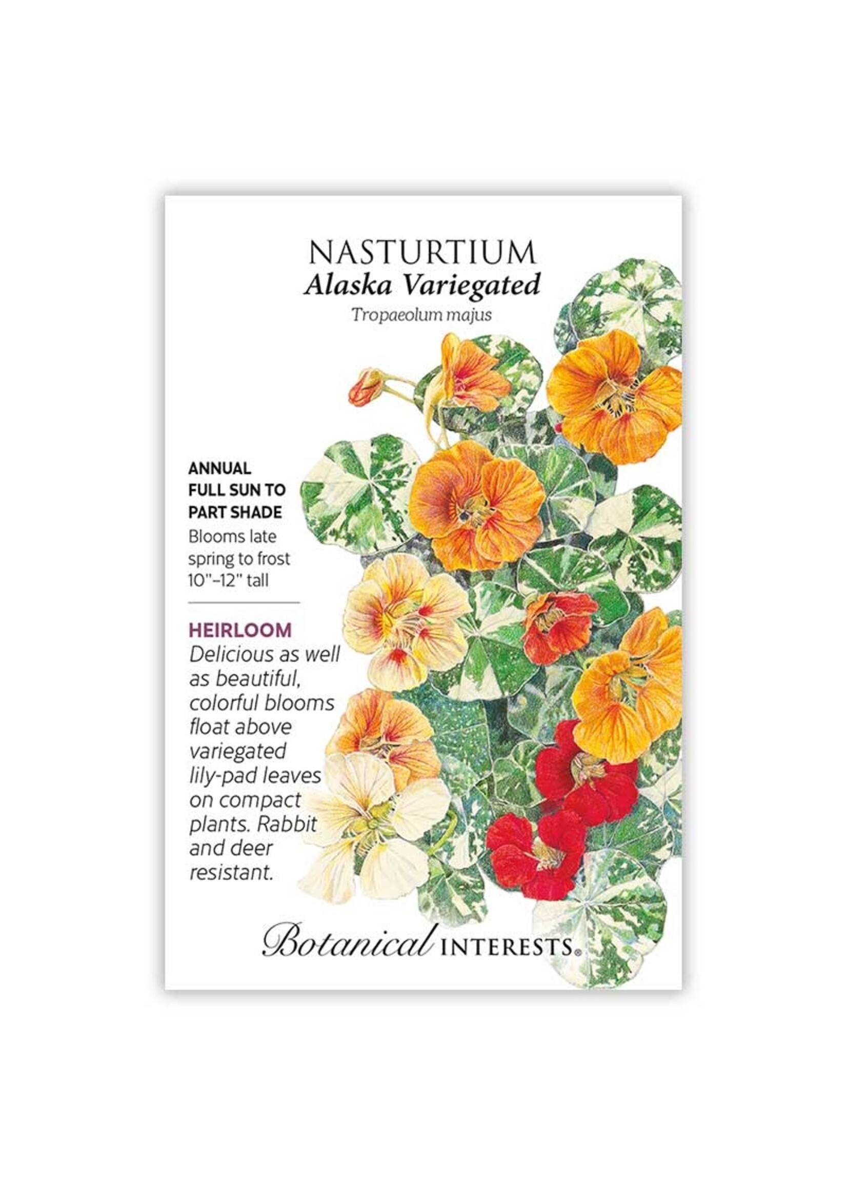 Botanical Interests Nasturtium Alaska Variegated