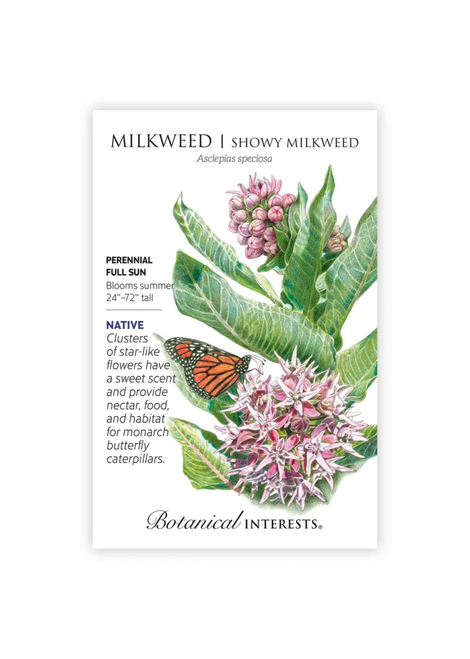 Botanical Interests Milkweed Showy