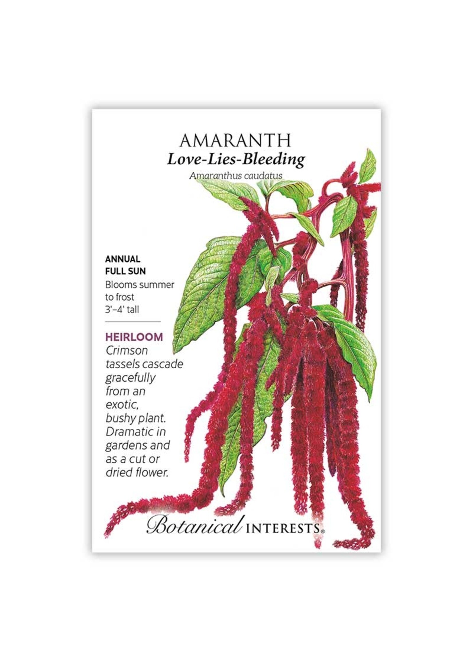 Botanical Interests Amaranth Love Lies Bleeding