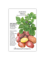 Botanical Interests Potato Clancy hybrid