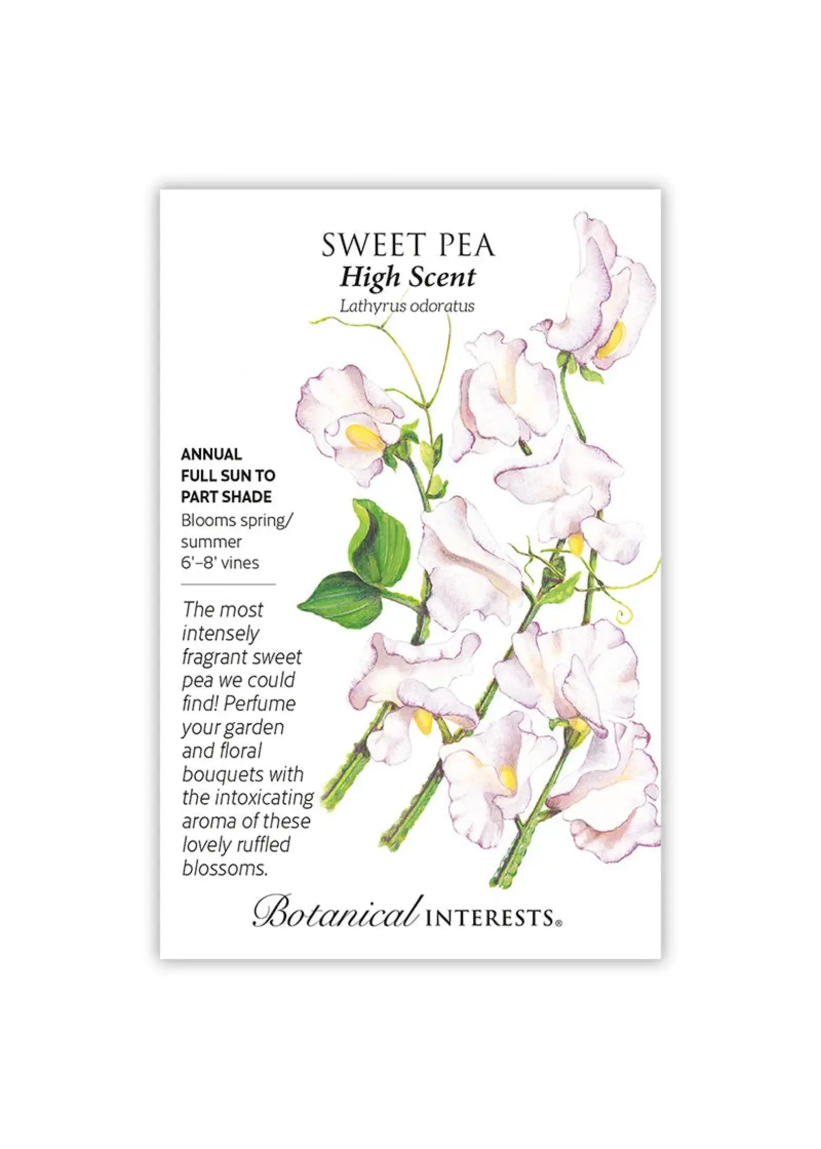 Botanical Interests Sweet Pea High Scent