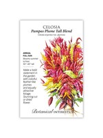 Botanical Interests Celosia Pampas Plume Blend