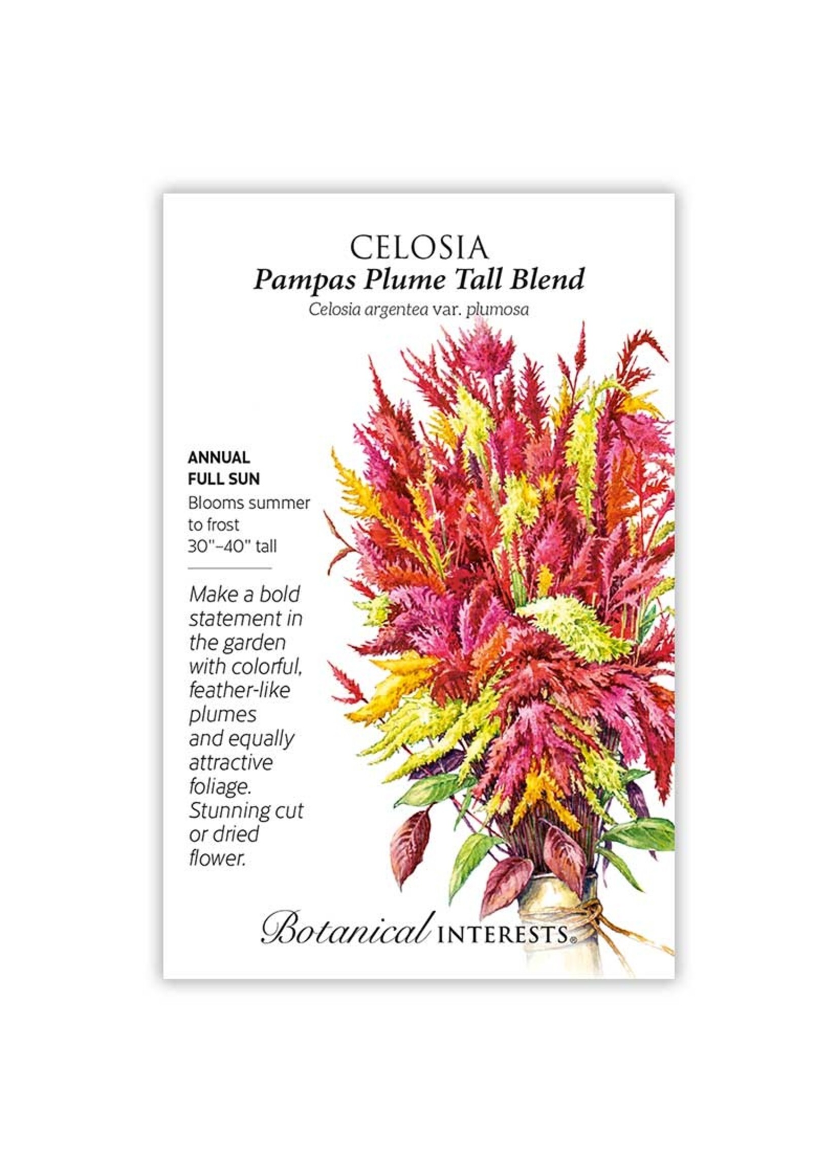 Botanical Interests Celosia Pampas Plume Blend