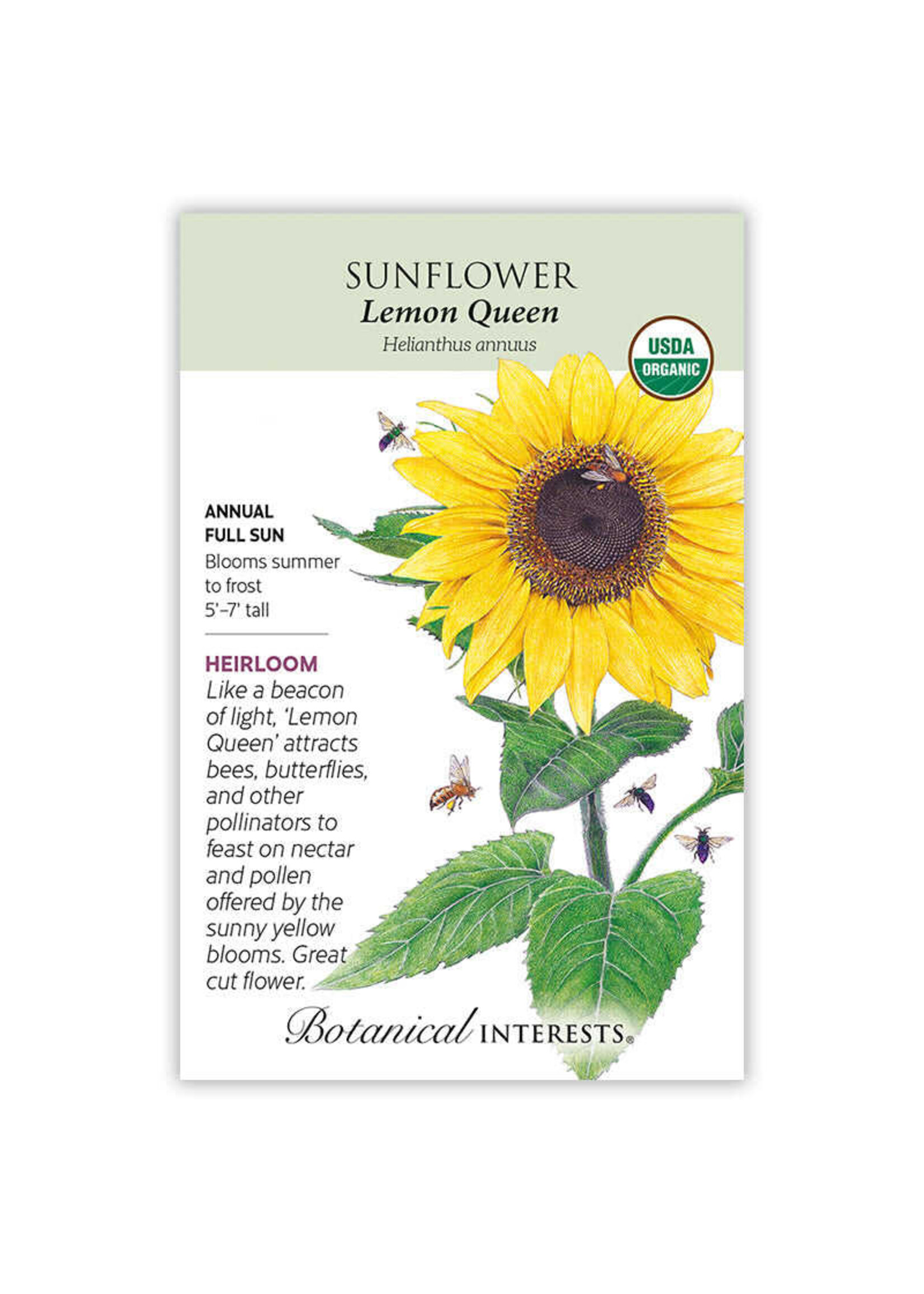 Botanical Interests Sunflower Lemon Queen Organic